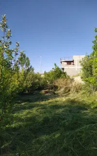 کمک داوطلبانه به هموطنان هرمزگانی