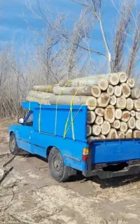 خریدانواع چوب ودرخت برش وتخریب