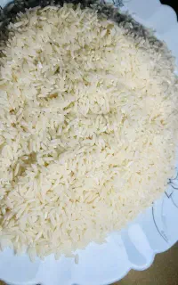 برنج طارم سنگی امساله