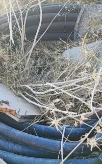 شلنگ آبیاری دو اینج