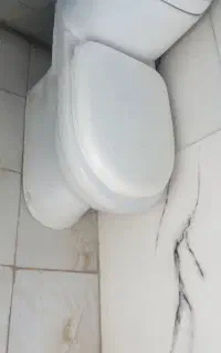 توالت فرنگی