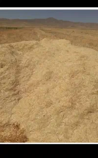 خریدار کاه سر زمین