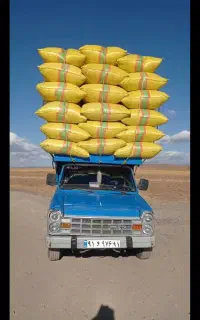 فروش کاه تناژ بالا