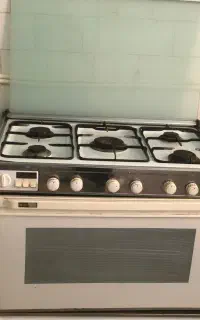 گازسالم ،فردار