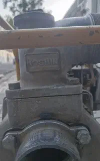 روبین اصل ژاپن