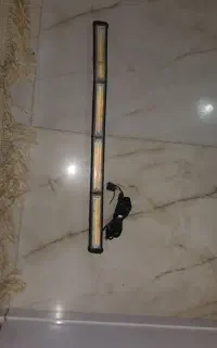 فدرالی