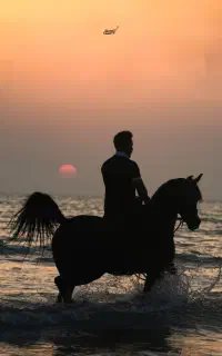 کارگر برای باشگاه اسب