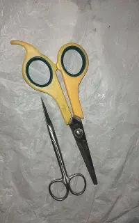دوعدد قیچی سالم درحد