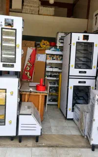انواع دستگاه جوجهکشی اقساطی مرغ بوقلمون بلدرچین