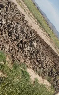 کود حیوانی مخصوص باغ و زمین زعفران نیسان ۳میلیون