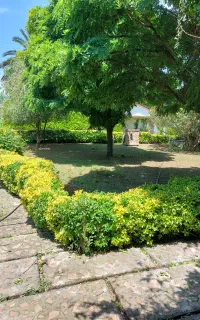 خدمات باغبانی