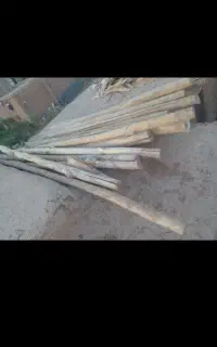 پل چوبی  جلگه موسی آباد جاده المجوق