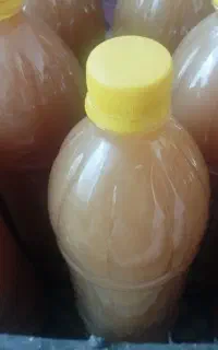 آبغوره ارگانیک محصول امسال