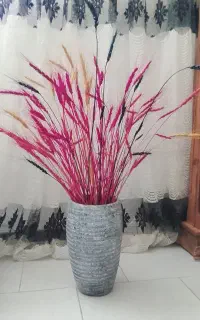 سنبل زیبا