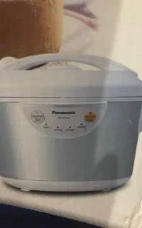 پلوپزمدل پاناسونیک