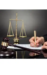 سند اجاره ای زمین کشاورزی ۶۰ هکتاری در شهرستان