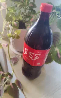 آبغوره جوشیده ترش ترش نمکی