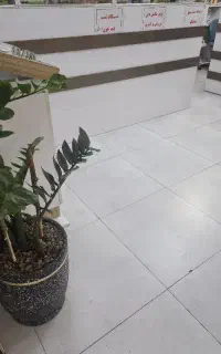 کارگر خانم و اقا