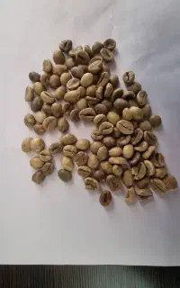 قهوه عمده و ارائه خدمات رست