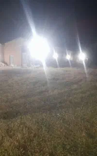نگهبان شرکت