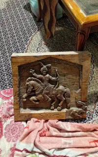 نبض زندگی در دل چوب