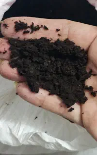 فروش کمپوست کاملا پوسیده