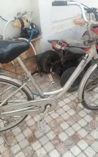 ژاپنی سالم سالم دنده ای