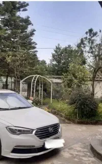 لیفان 820