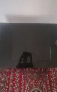 هود