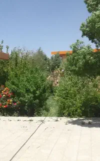همیار برای حمایت حیوانات