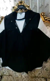 پالتو