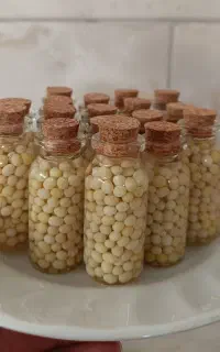 خاویار حلزون