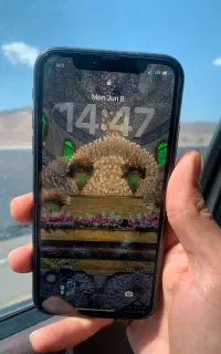 ایفون ۱۱ نرمال