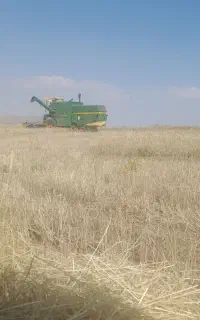 کمباین جاندیر