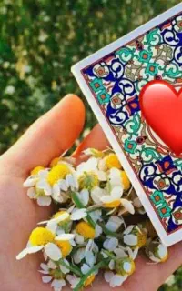 دعا