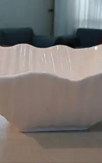 میوه خوری سیلویا