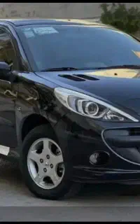 207 پاناروما 401