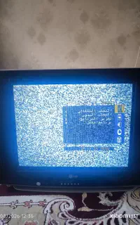 تلویزیون