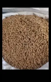 دان مرغ گوشتی نقد و اقساط