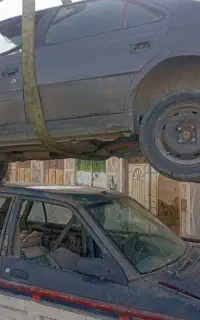 ۱۳۸م نقد نقد