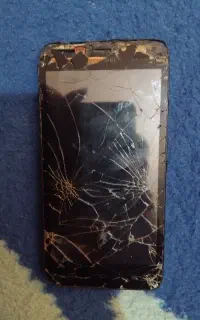 پردیس