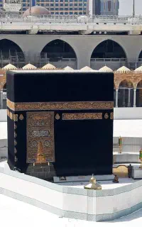 نیازمند دو فقره فیش حج ترجیحا تا بیست برج۹