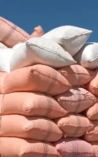 کاه دیم نرم تحویلی