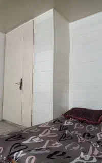 همخونه هم خانه