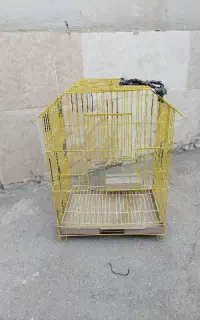 فروش سبد و قفس کبوتر