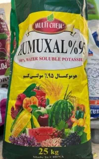 کودهیومیک