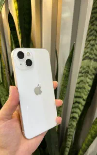 13نرمال سفید