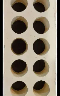 اجر نمونه