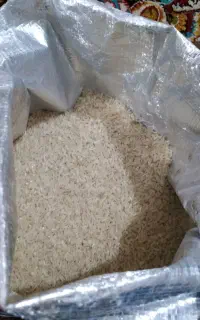 گندم،جو،برنج