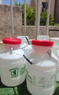 دبه ۴کیلویی